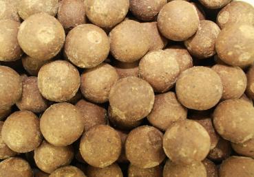 Fifty Fish Boilies 5 kg